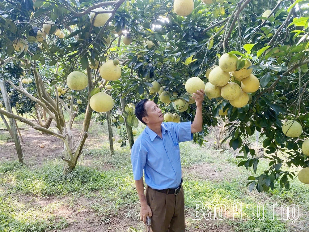 នាំកសិផលសំខាន់ៗទៅឆ្ងាយ
