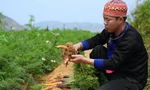 យុវជន​ម៉ុង​រួច​ផុត​ពី​ភាព​ក្រីក្រ​តាម​រយៈ​កសិកម្ម​ស្អាត