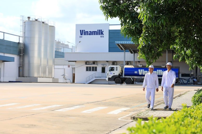 Vinamilk và bài học biến chi phí xanh thành sức mạnh thương hiệu- Ảnh 2.