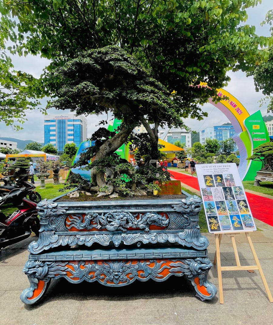 ពិធីបុណ្យសត្វ និងរុក្ខជាតិខេត្ត Gia Lai 14.jpg