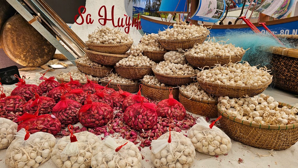 ខេត្ត Quang Ngai ទទួលបានពានរង្វាន់ “កន្លែងតាំងពិព័រណ៍ឆ្នើម” - រូបថត ២