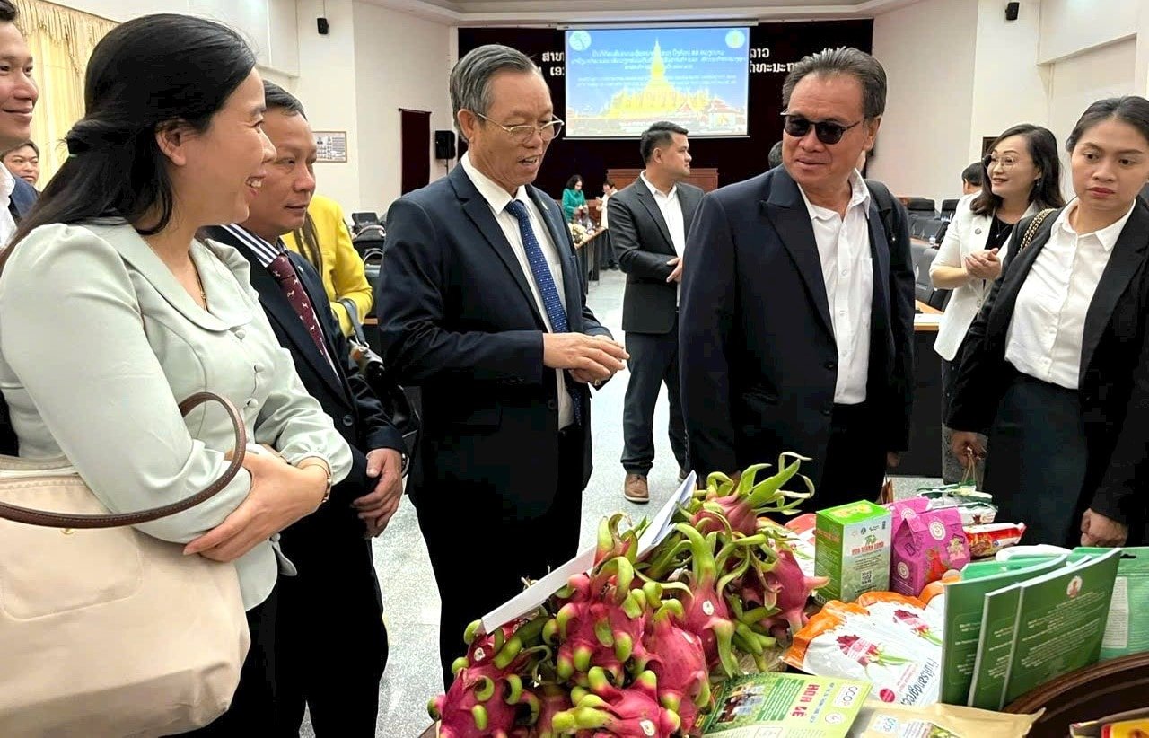 Lam Dong stärkt auf internationalen Messen die Handelsbeziehungen für Drachenfruchtprodukte (3)