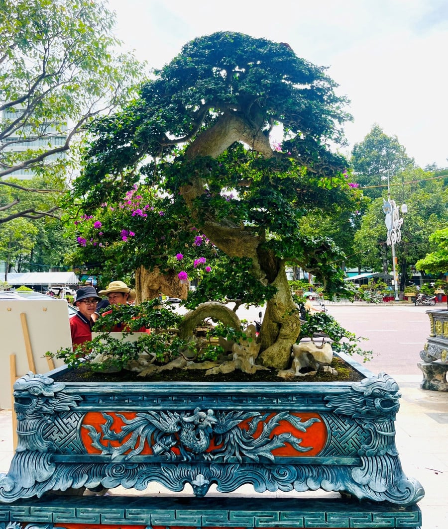 ពិធីបុណ្យសត្វខេត្ត Gia Lai 16.jpg