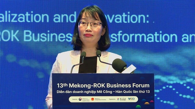 Định hướng hợp tác Mekong - Hàn Quốc: Số hóa và đổi mới sáng tạo - Ảnh 5.