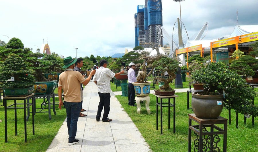 lien-hoan-sinh-vat-canh-tinh-gia-lai-13.jpg