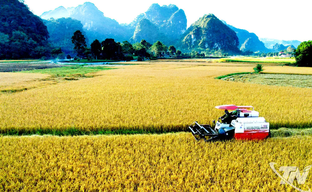ការកាត់បន្ថយភាពក្រីក្រ