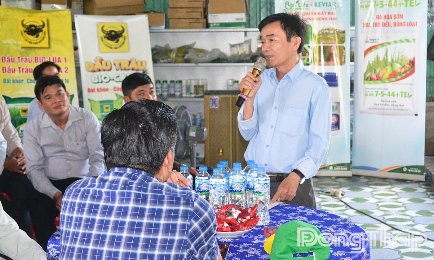 Dong Thap-economic-efficiency-from-the-model-of-high-quality-rice-farming-and-development-thap-2.jpg