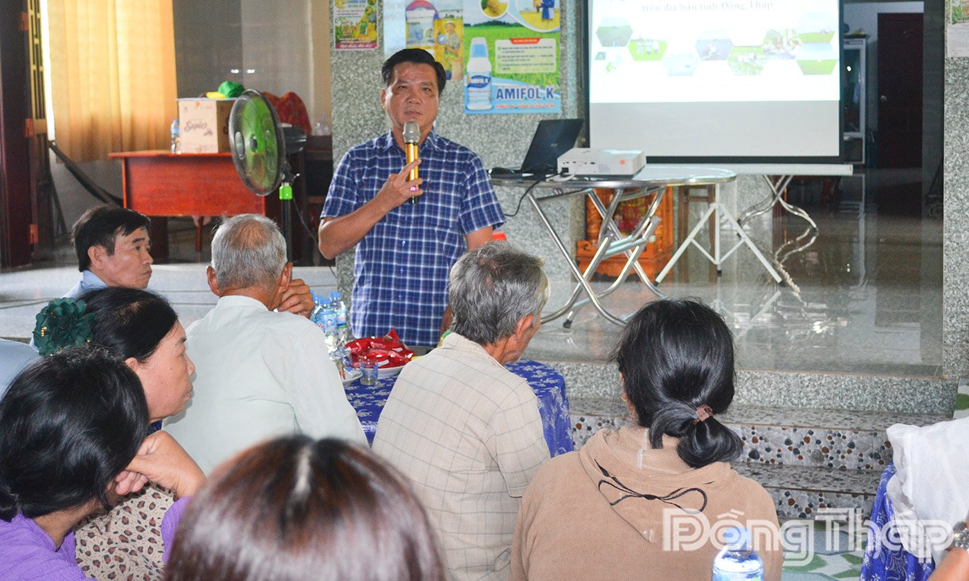 Dong Thap-economic-efficiency-from-the-model-of-high-quality-rice-farming-and-development-thap-3.jpg