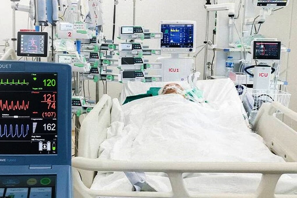 Người đàn ông ở TPHCM nguy kịch sau khi ăn hàu sống - 1