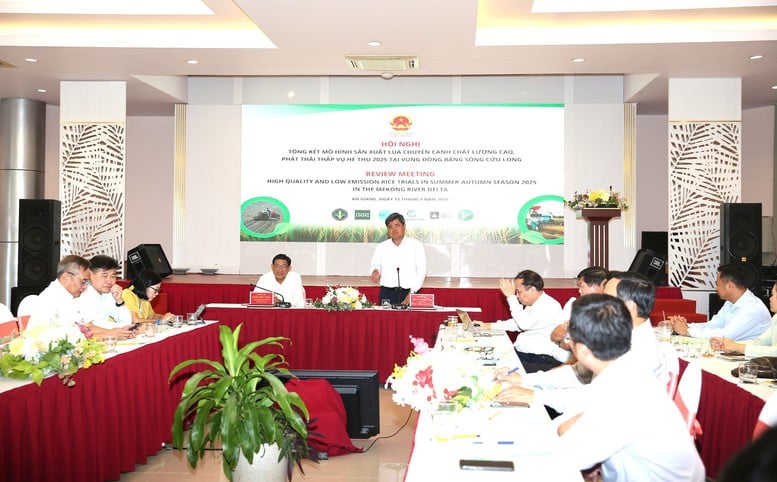 Đề án 1 triệu ha lúa chất lượng cao: Cuộc cách mạng nông nghiệp cho ĐBSCL- Ảnh 1.