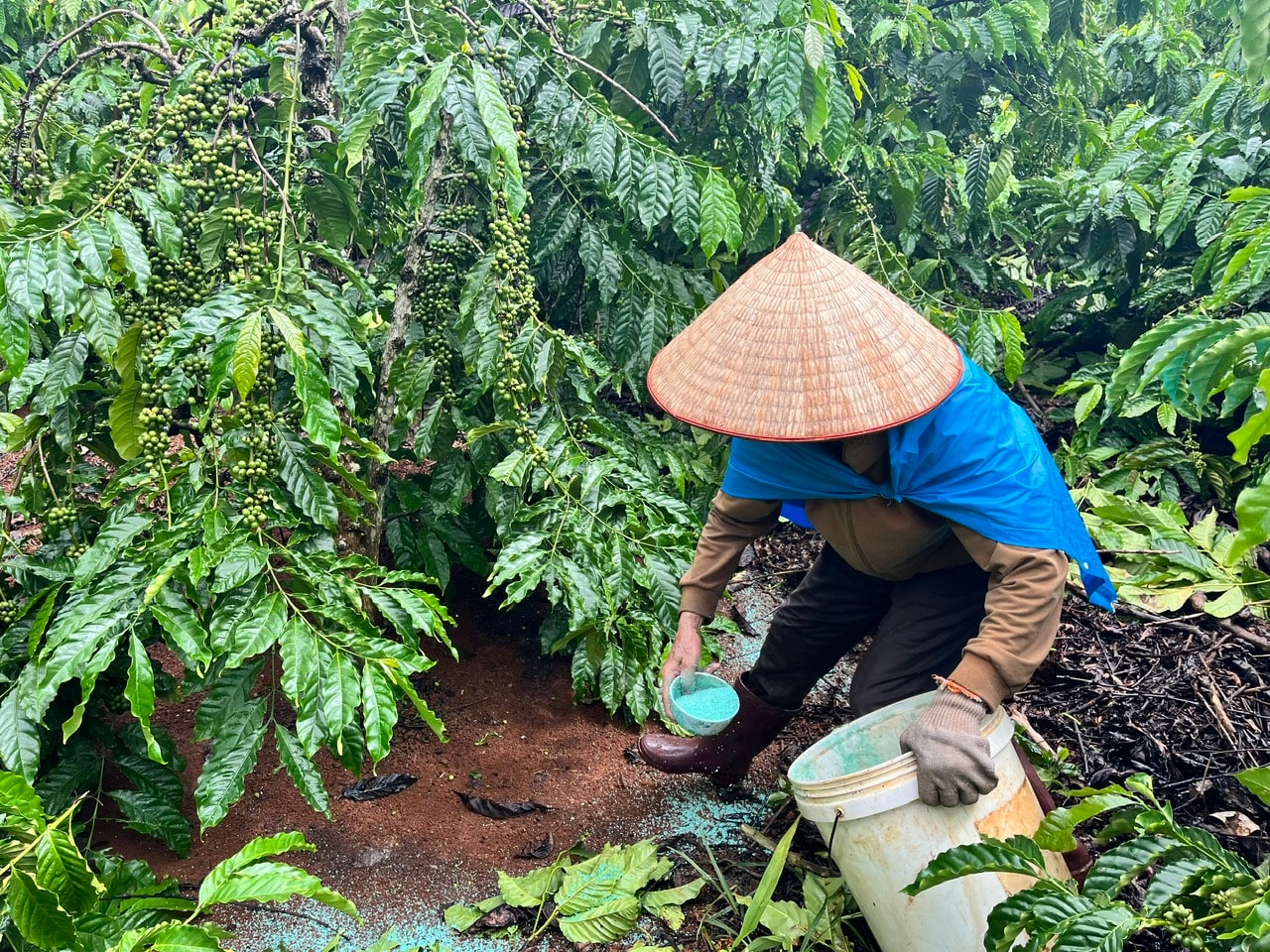 agricultural extension1