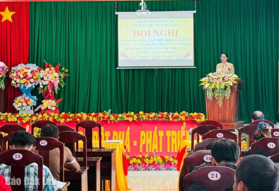 អនុប្រធាននាយកដ្ឋានជនជាតិ និងសាសនាបានផ្សព្វផ្សាយខ្លឹមសារទាក់ទងនឹងការងារជនជាតិ និងគោលនយោបាយជនជាតិក្នុងស្ថានភាពថ្មីនៅក្នុងសន្និសីទ។