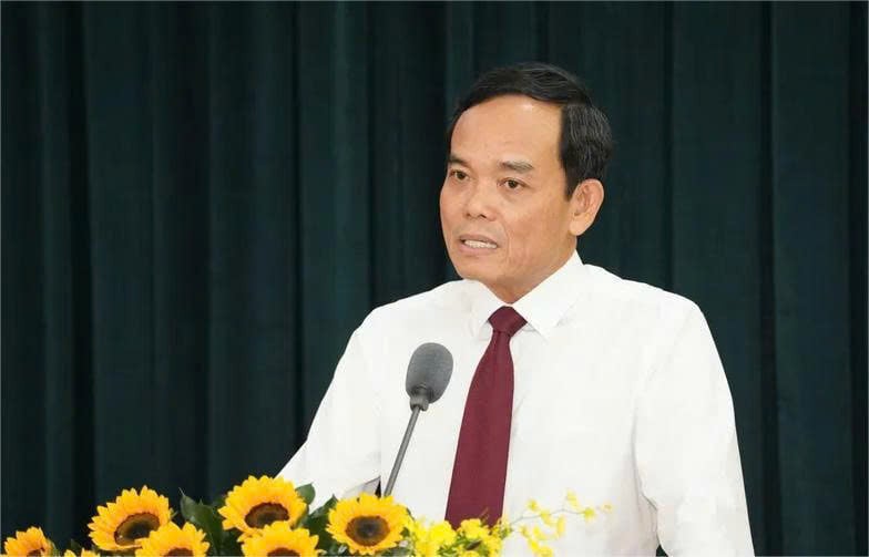 Tran Luu Quang.jpeg