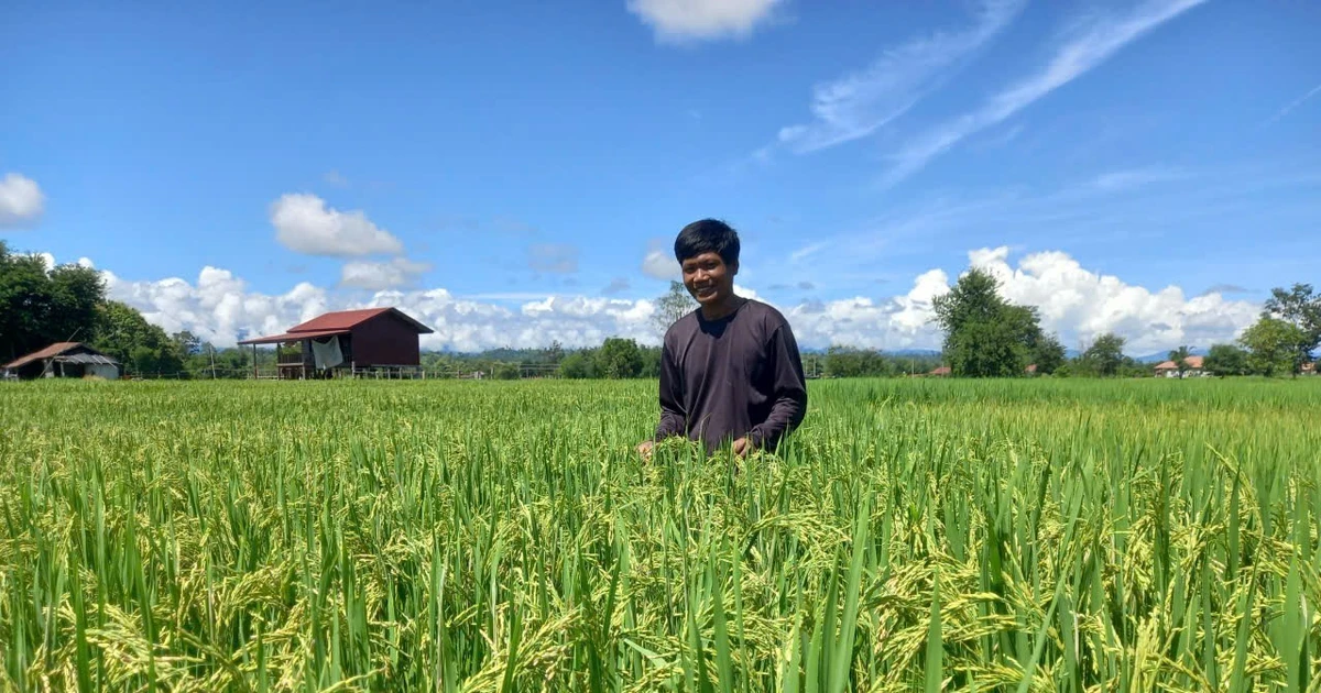 Gia Lai apoya a la provincia de Sekong para implementar un modelo ...