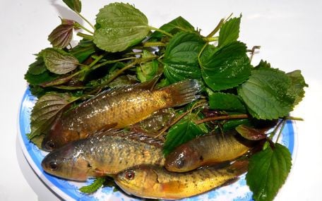 Cháo ám - nghe xui mà hóa ra ngon nhớ đời ngày thu đông - Ảnh 5.