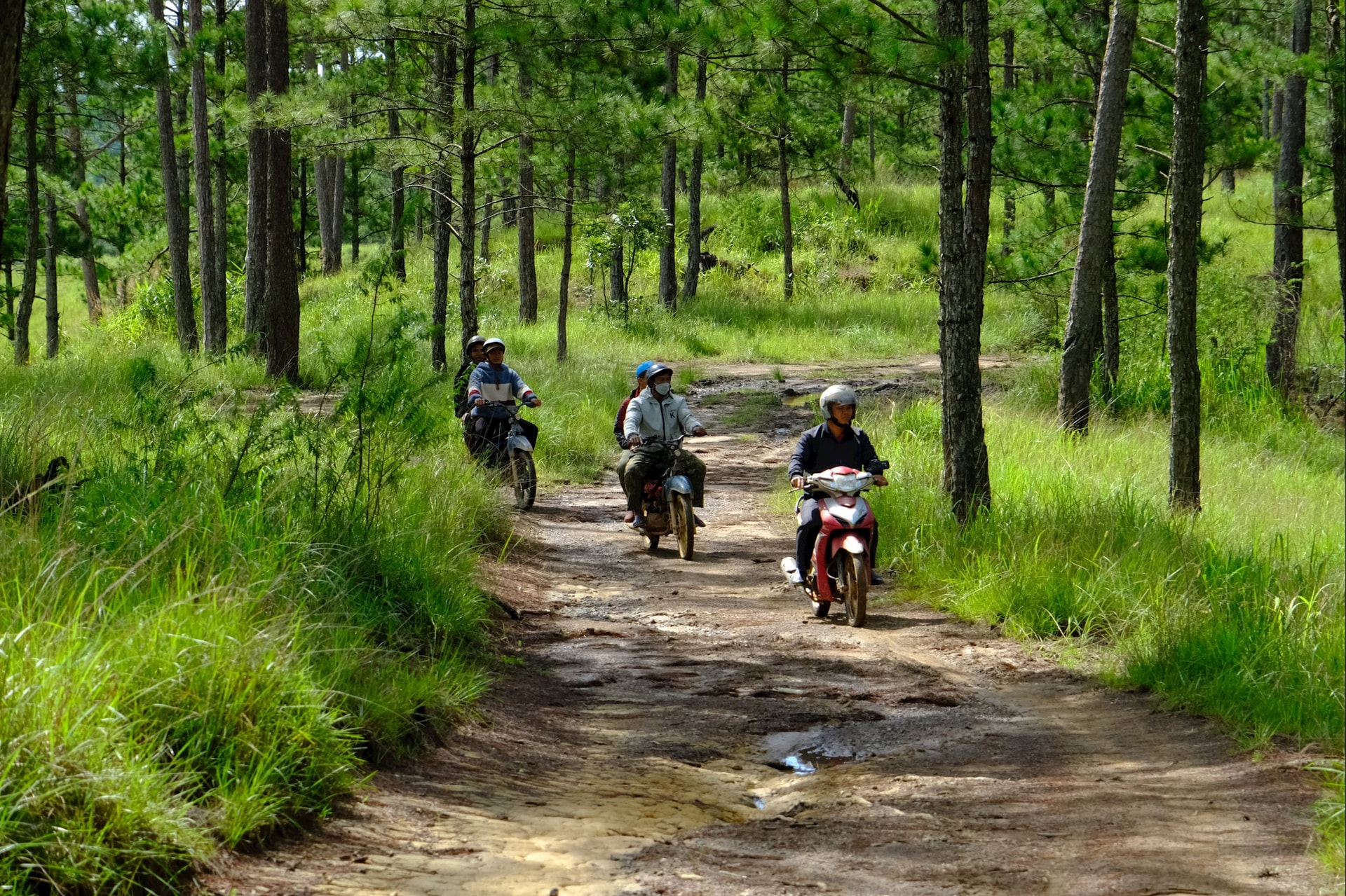 dscf9622.jpg