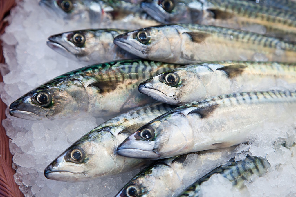 Loại cá rẻ bèo giàu omega-3 hơn cá hồi, nhiều người Việt ăn mỗi ngày - 1