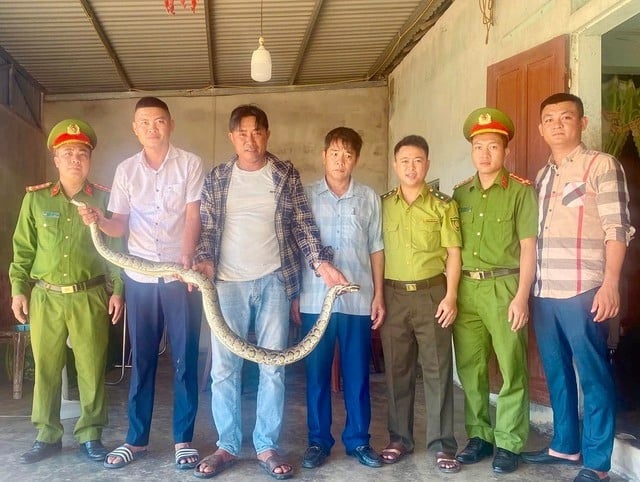 donggg-1.jpg