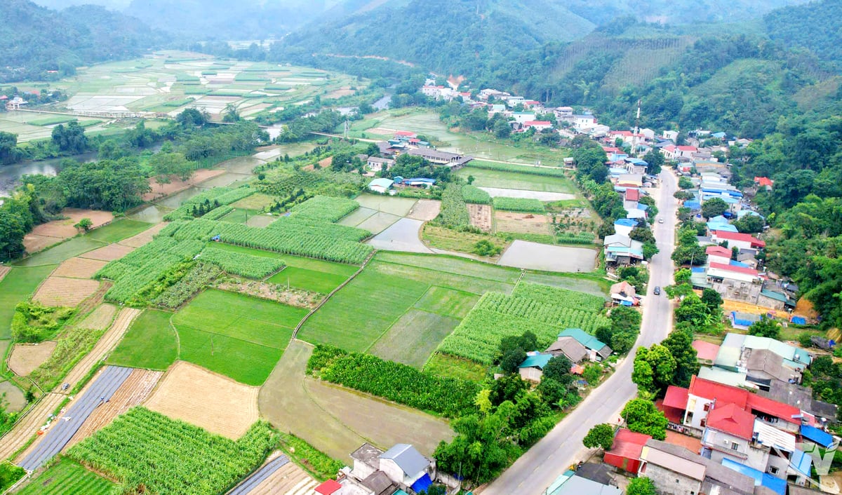 Thực hiện Chương trình mục tiêu Quốc gia phát triển kinh tế - xã hội vùng đồng bào dân tộc thiểu số và miền núi giai đoạn 2021-2025, xã Tân Kỳ được đầu tư nhiều công trình kết cấu hạ tầng, đời sống nhân dân từng bước được nâng cao.
