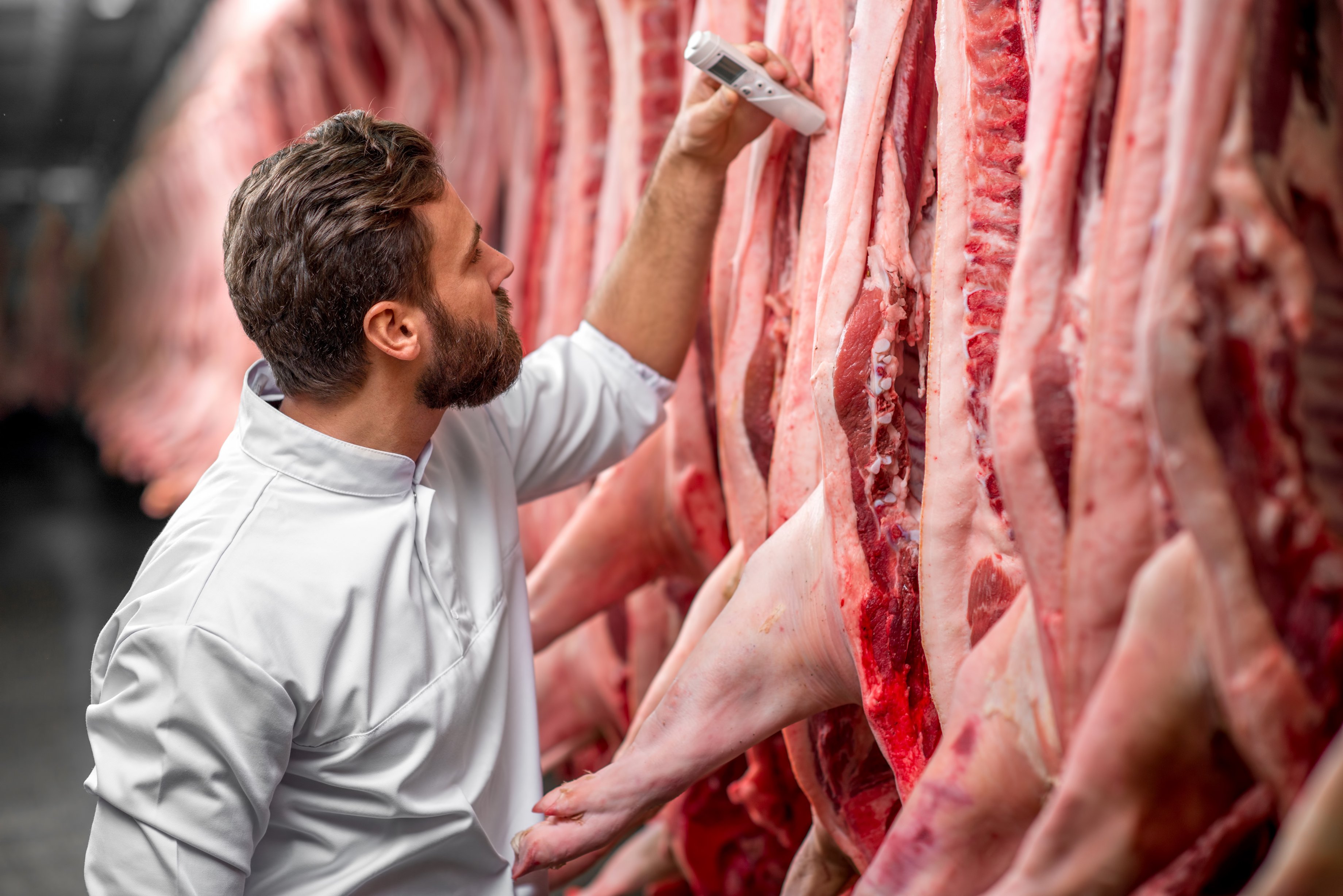 Cooling technology creates European standards for fresh meat_.jpg