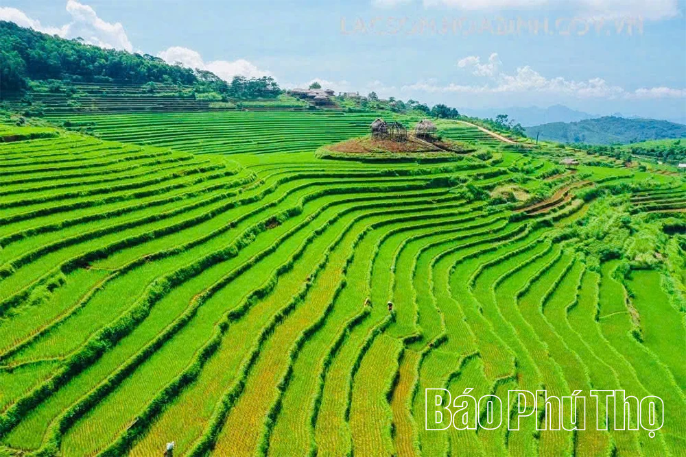 តំបន់ភ្នំនឹងរៀបចំពិធីបុណ្យ Terraced Field Festival រយៈពេល 2 ថ្ងៃ ថ្ងៃទី 18-19 ខែតុលា ឆ្នាំ 2025
