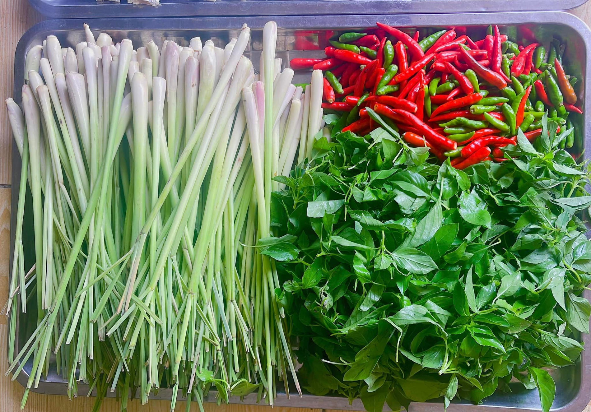 ស្លឹក basil នៃសមុទ្រខាងជើង.png