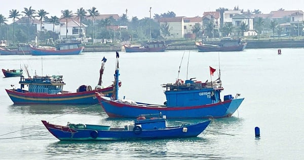 Quảng Trị tăng cường tuần tra, tập trung cao điểm chống khai thác IUU