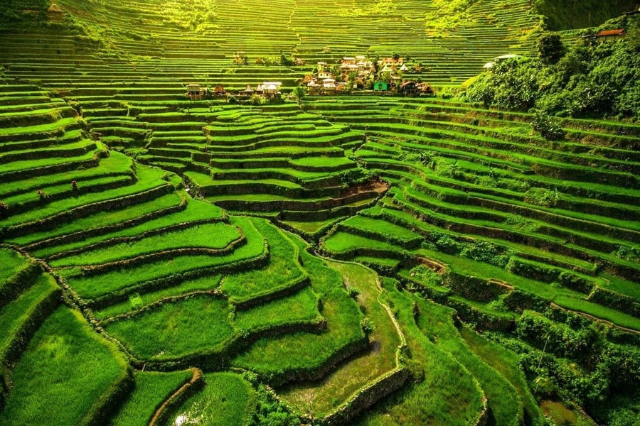 Mở rộng như một đấu trường xanh mướt, các thửa ruộng bậc thang 2.000 năm tuổi của Batad vươn lên đối xứng hoàn hảo, được khắc sâu vào những nếp gấp dốc đứng của dãy núi Cordillera.