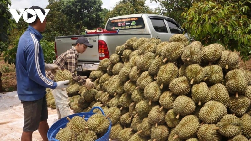 សេដ្ឋកិច្ចវៀតណាម៖ កំណើនគួរឱ្យចាប់អារម្មណ៍ អតិផរណាស្ថិតនៅក្រោមការគ្រប់គ្រង