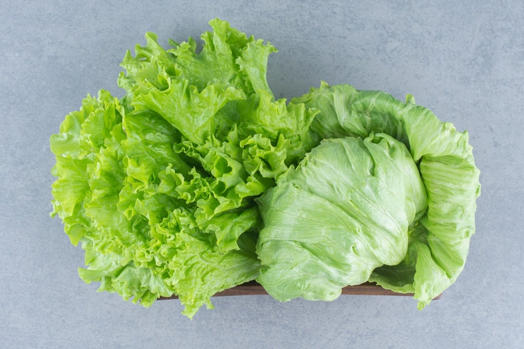 Rau thuộc nhóm tốt nhất thế giới lại là món bình dân ở Việt Nam - 1