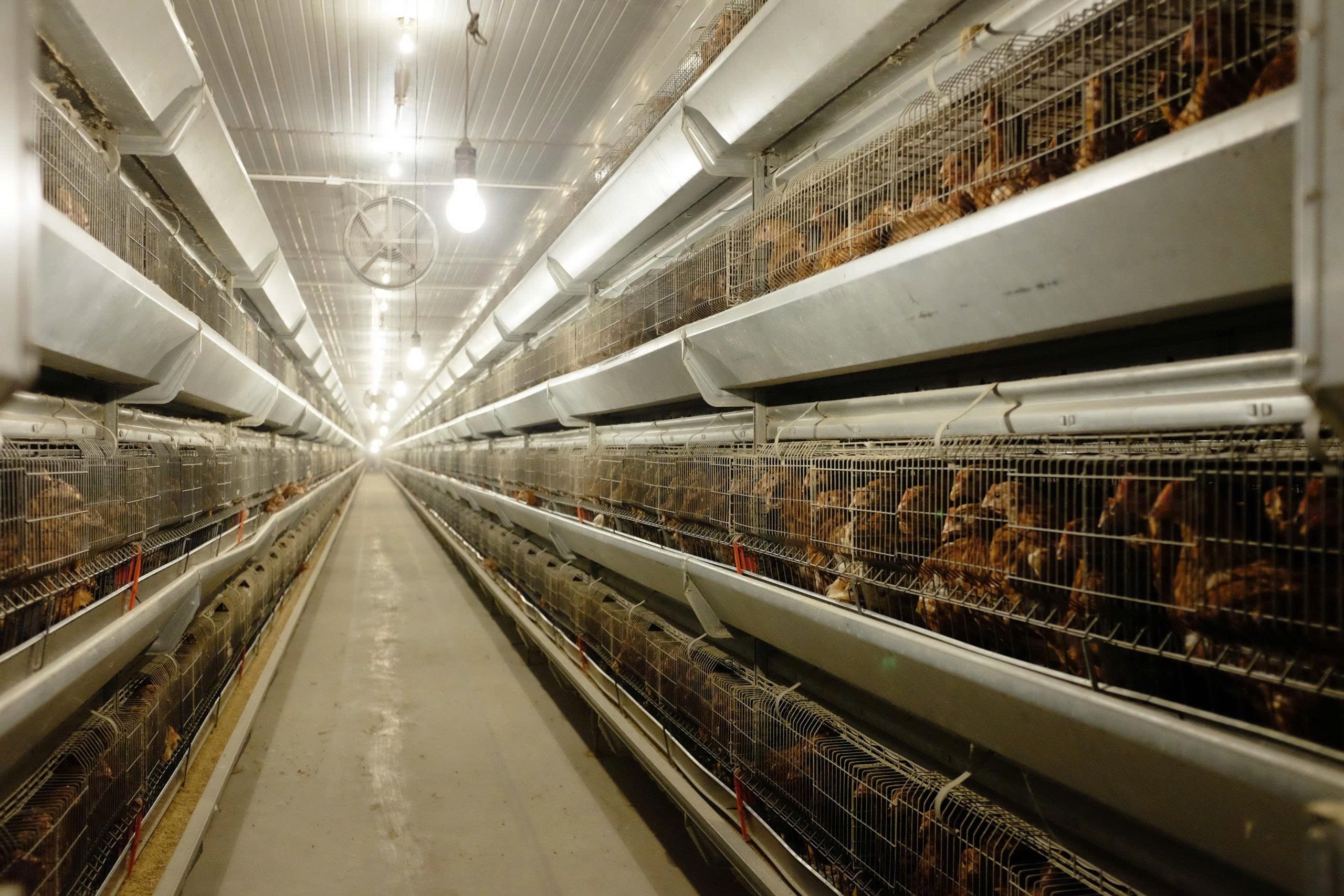 10f03adbda9550cb0984