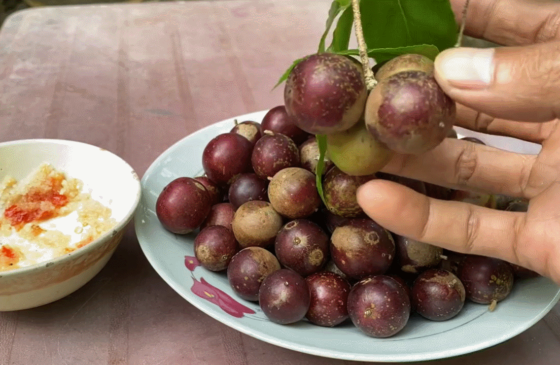 ផ្លែ persimmon 0.gif