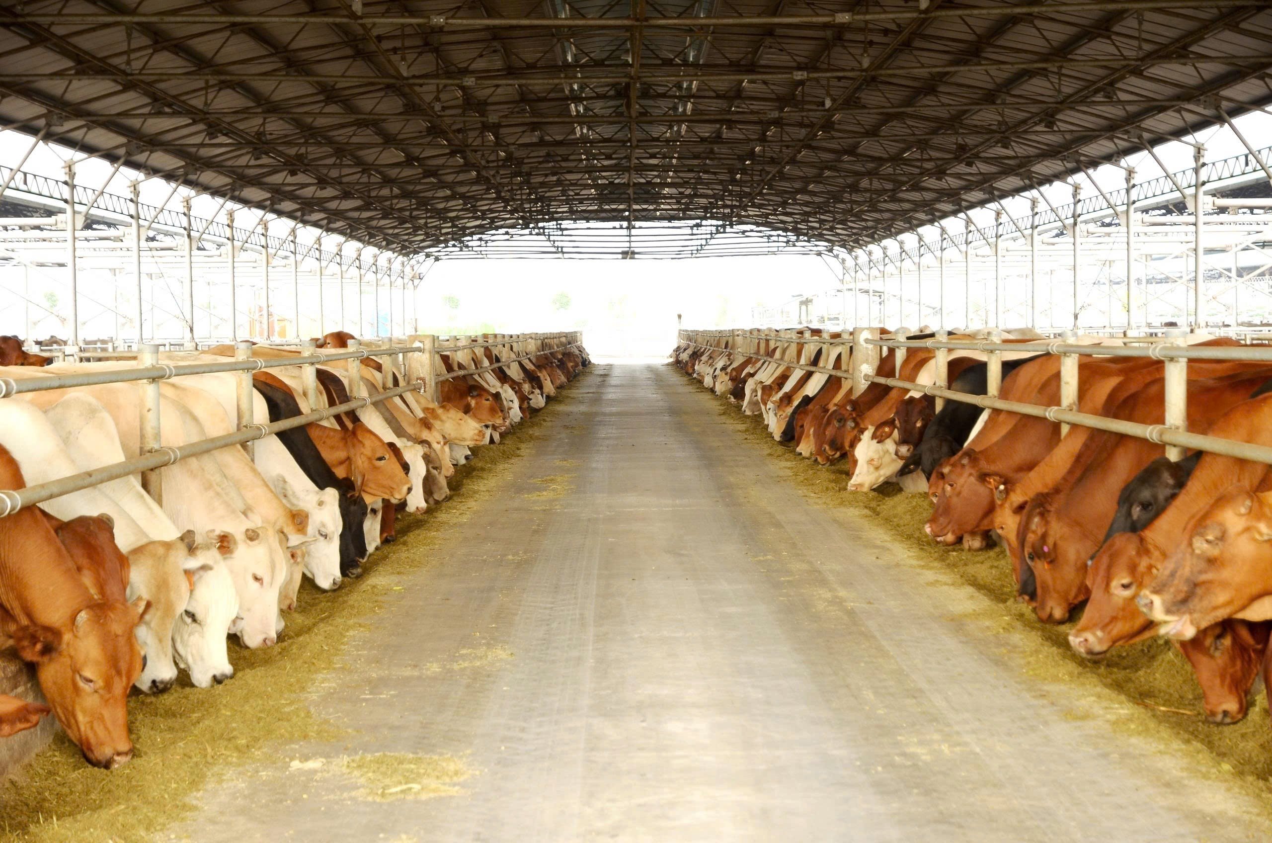 bea6998d79c3f39daad2