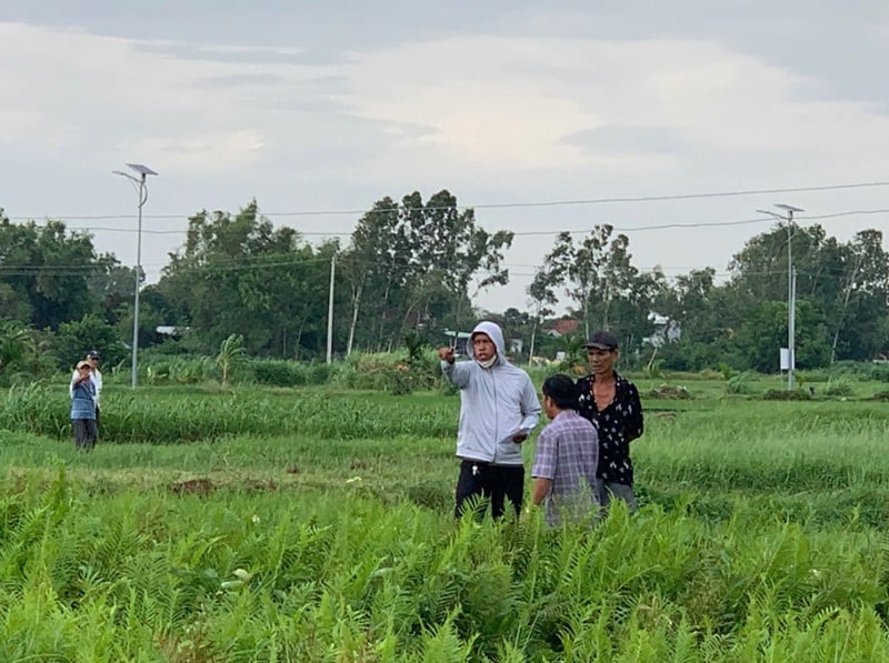 การสำรวจ ประเมินที่ดินและทรัพย์สินบนที่ดินเพื่อชดเชย การเคลียร์พื้นที่ก่อสร้างพื้นที่จัดสรรที่ดินในตำบลอานโญนเตย์เพื่อรองรับโครงการรถไฟความเร็วสูง