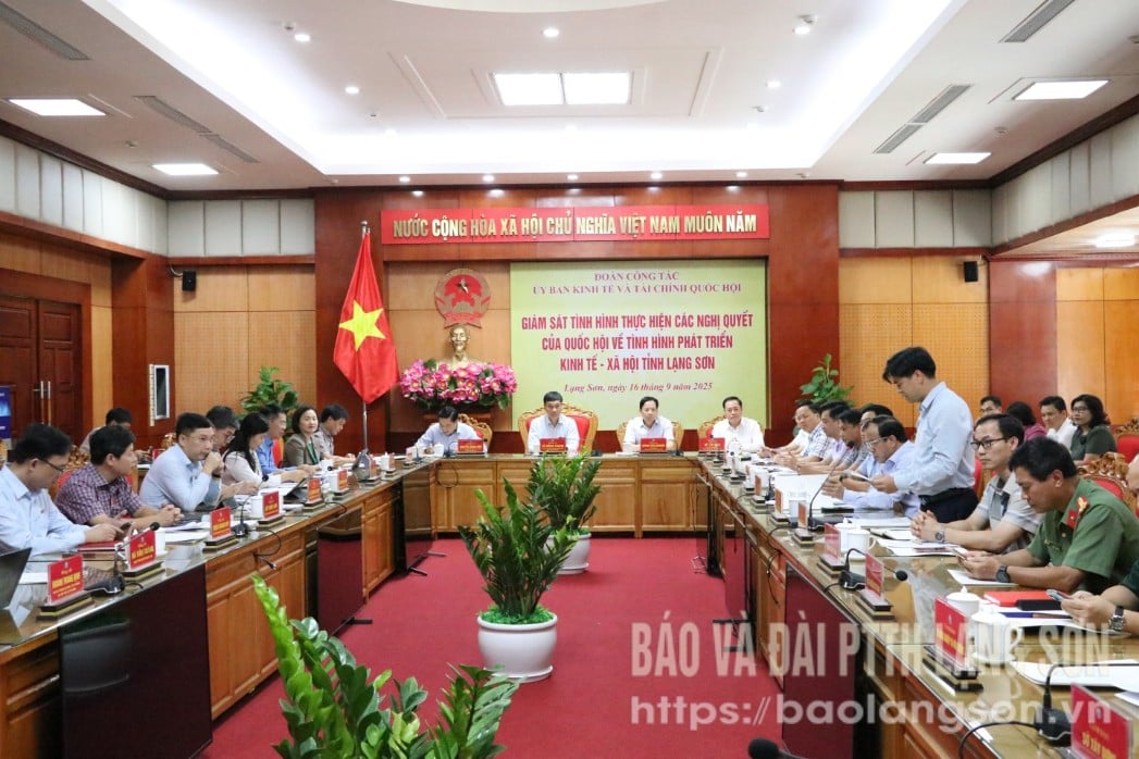 Các đại biểu tham dự buổi làm việc