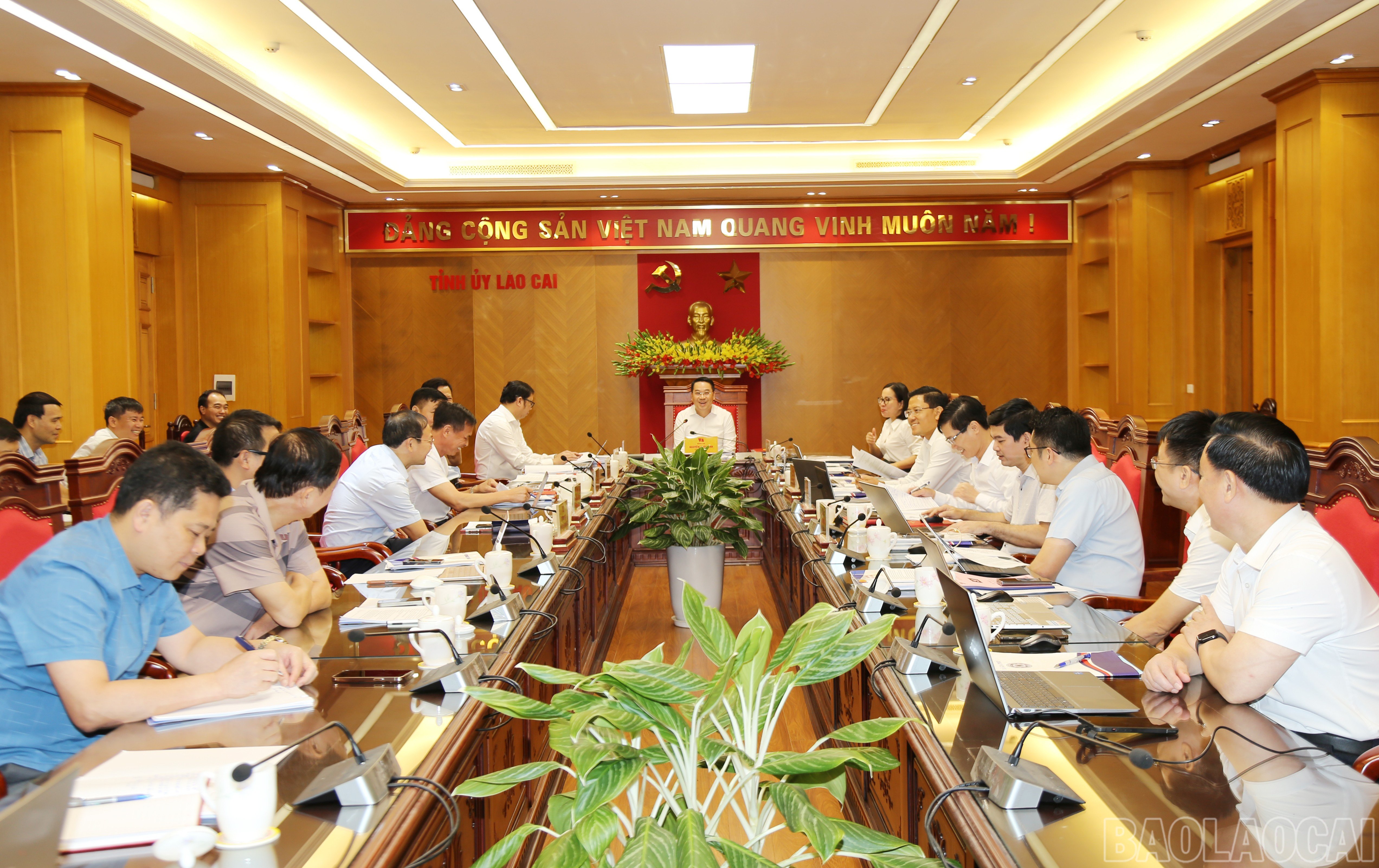 baolaocai-br_img-0777.jpg