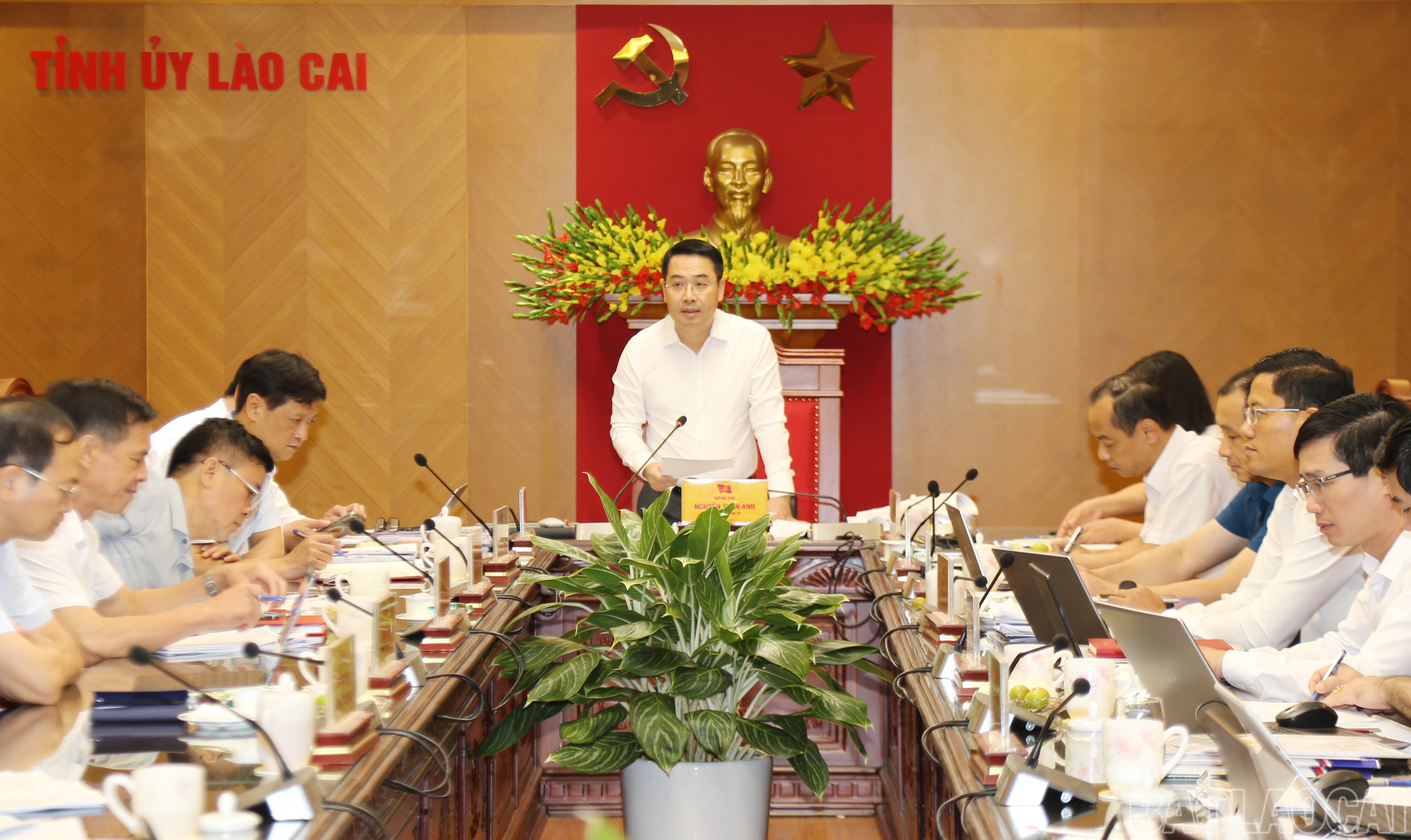 baolaocai-br_img-0813.jpg