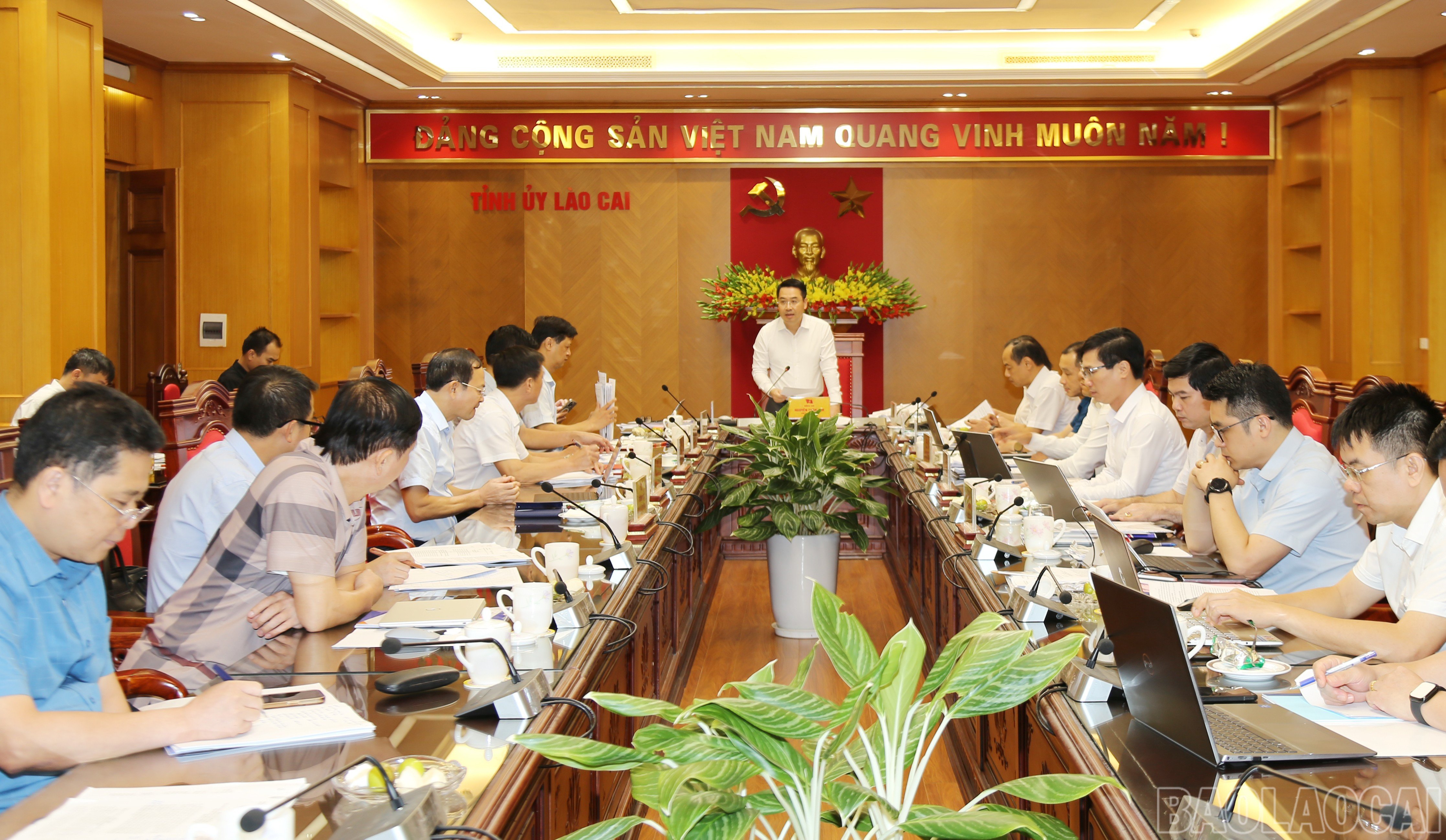 baolaocai-br_img-0808.jpg