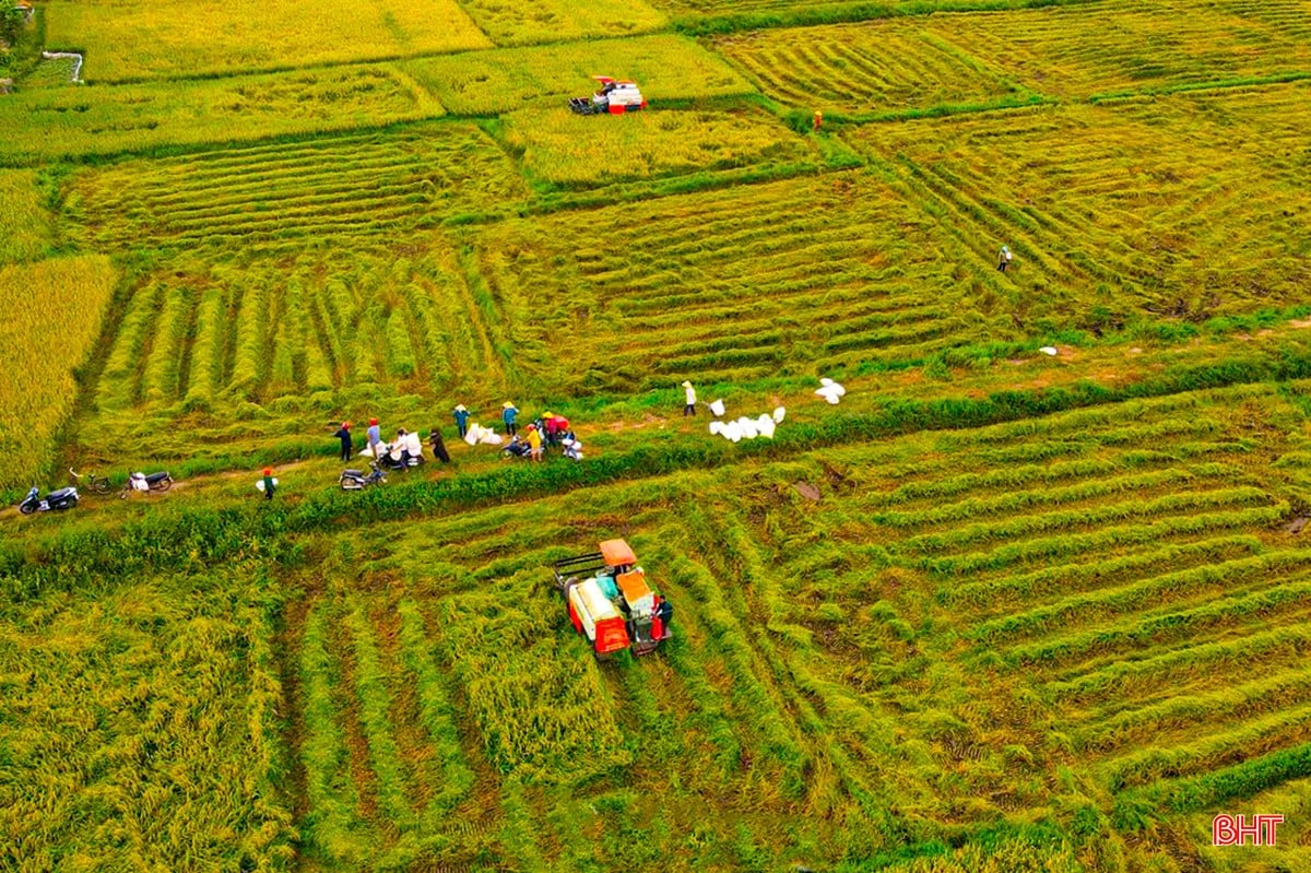 រូបភាព-72.jpg