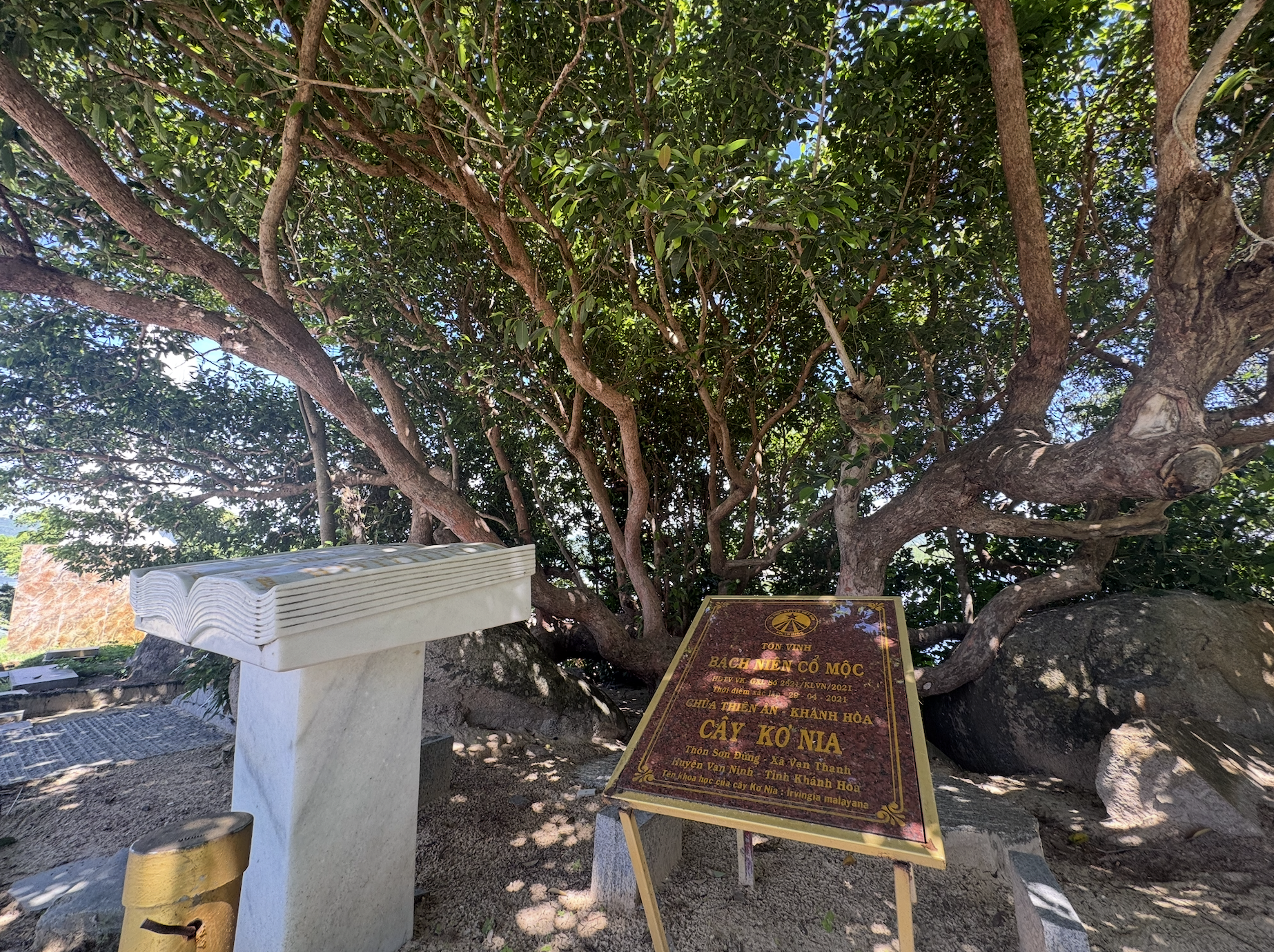 វត្ត Thien An នៅ​ឈូង​សមុទ្រ Van Phong៖ កន្លែង​ពិនិត្យ​មើល​ខ្យល់​បក់​ខ្លាំង​បំផុត​បែរ​មុខ​ទៅ​សមុទ្រ - រូបថត ៤.