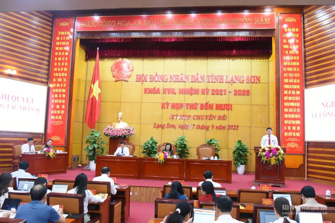 dsc,8461,10431017.jpg