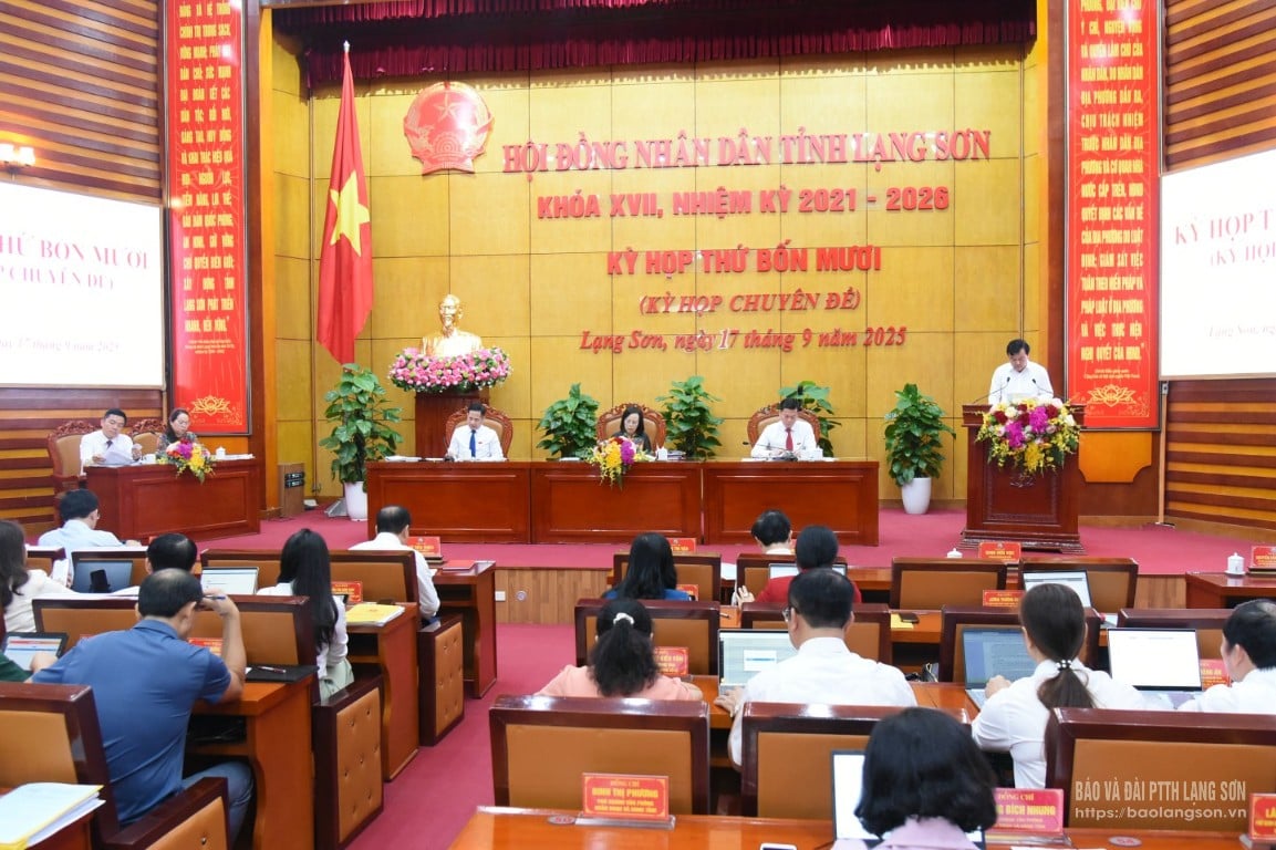dsc,8522,10432317.jpg