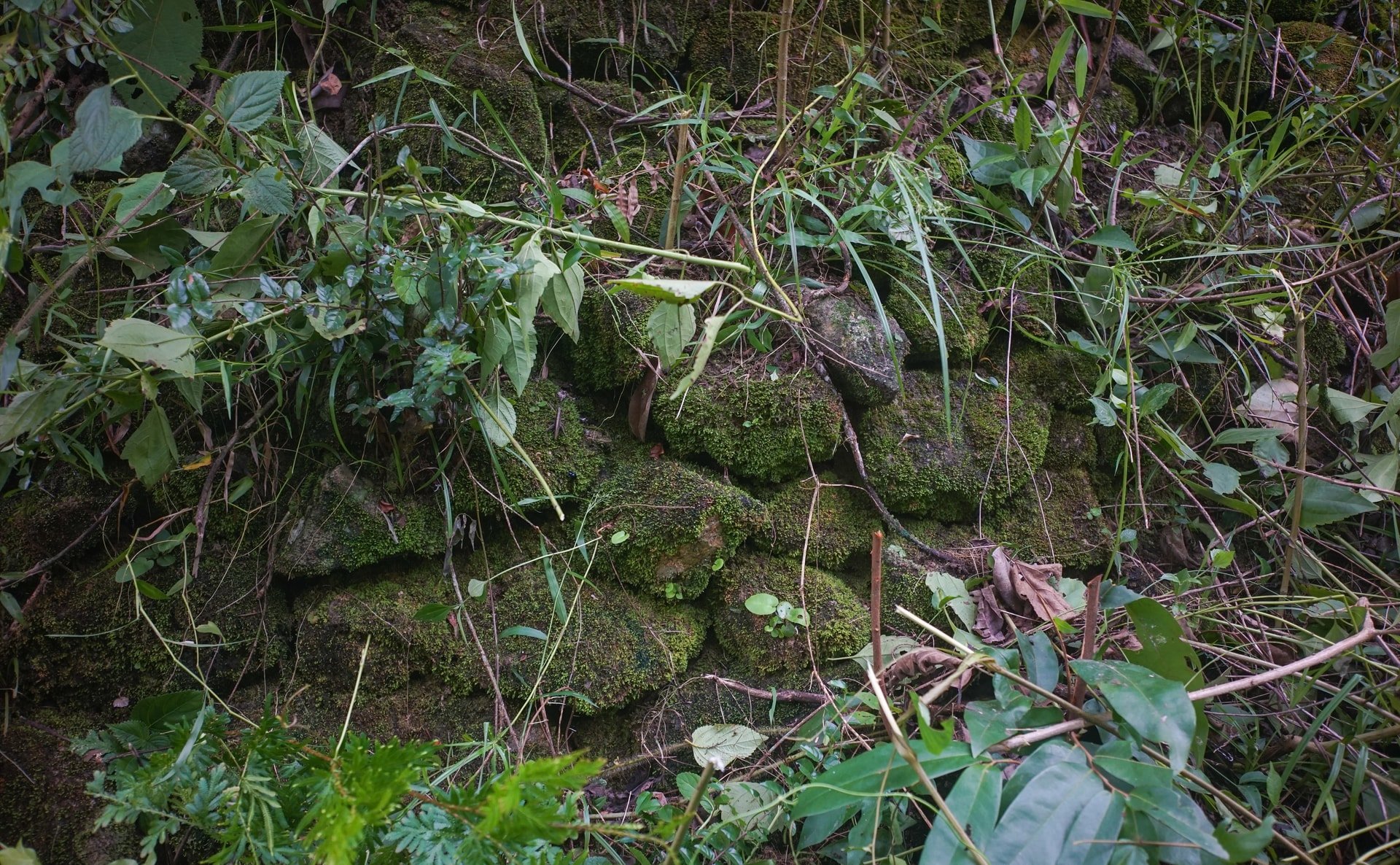 son06322.jpg
