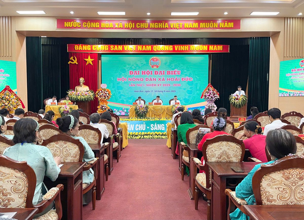 Đại hội đại biểu Hội Nông dân xã Hoài Đức lần thứ I thành công tốt đẹp- Ảnh 1.