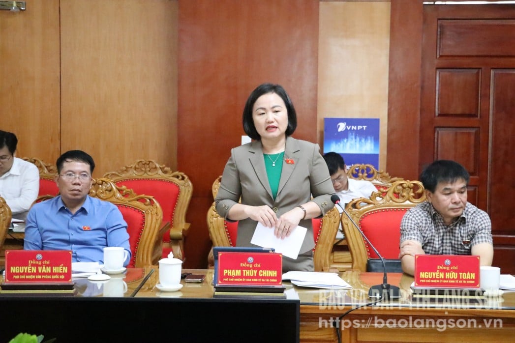 Thành viên đoàn công tác của Ủy ban Kinh tế và Tài chính của Quốc hội phát biểu tại buổi làm việc