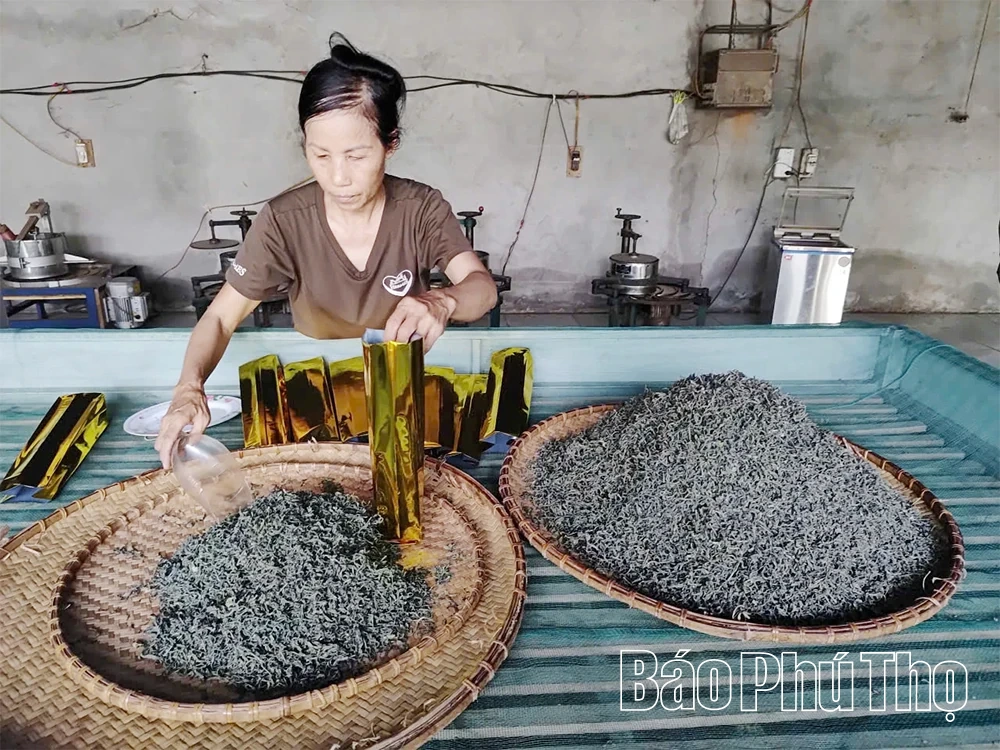 រសជាតិនៃតែ Hoang Van