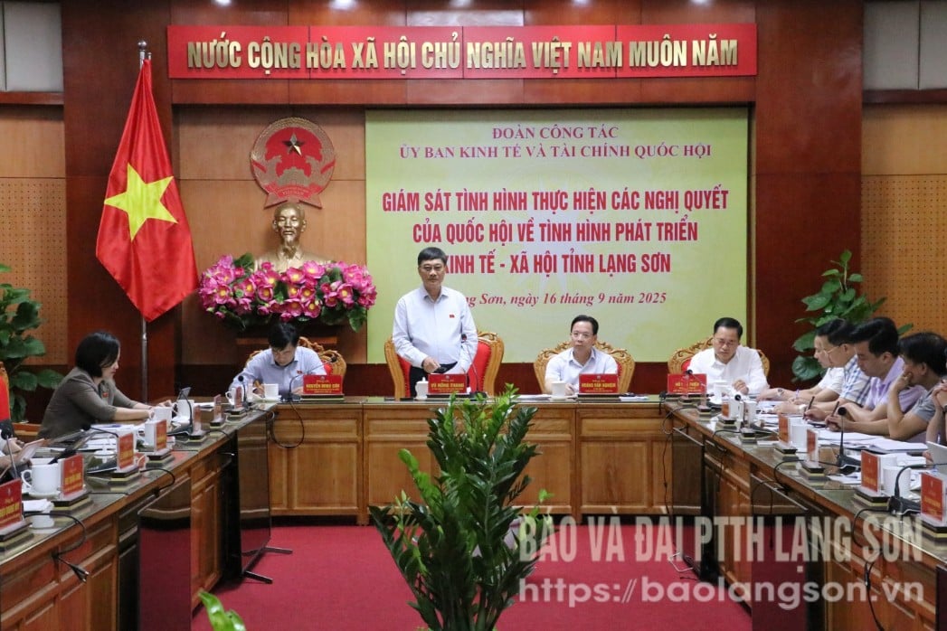 Đồng chí Vũ Hồng Thanh, Ủy viên Ban Chấp hành Trung ương Đảng, Phó Chủ tịch Quốc hội phát biểu chỉ đạo buổi làm việc