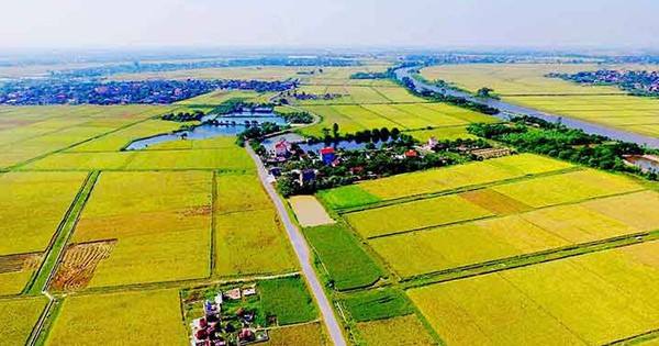 ខ្ញុំជឿអ្នក។