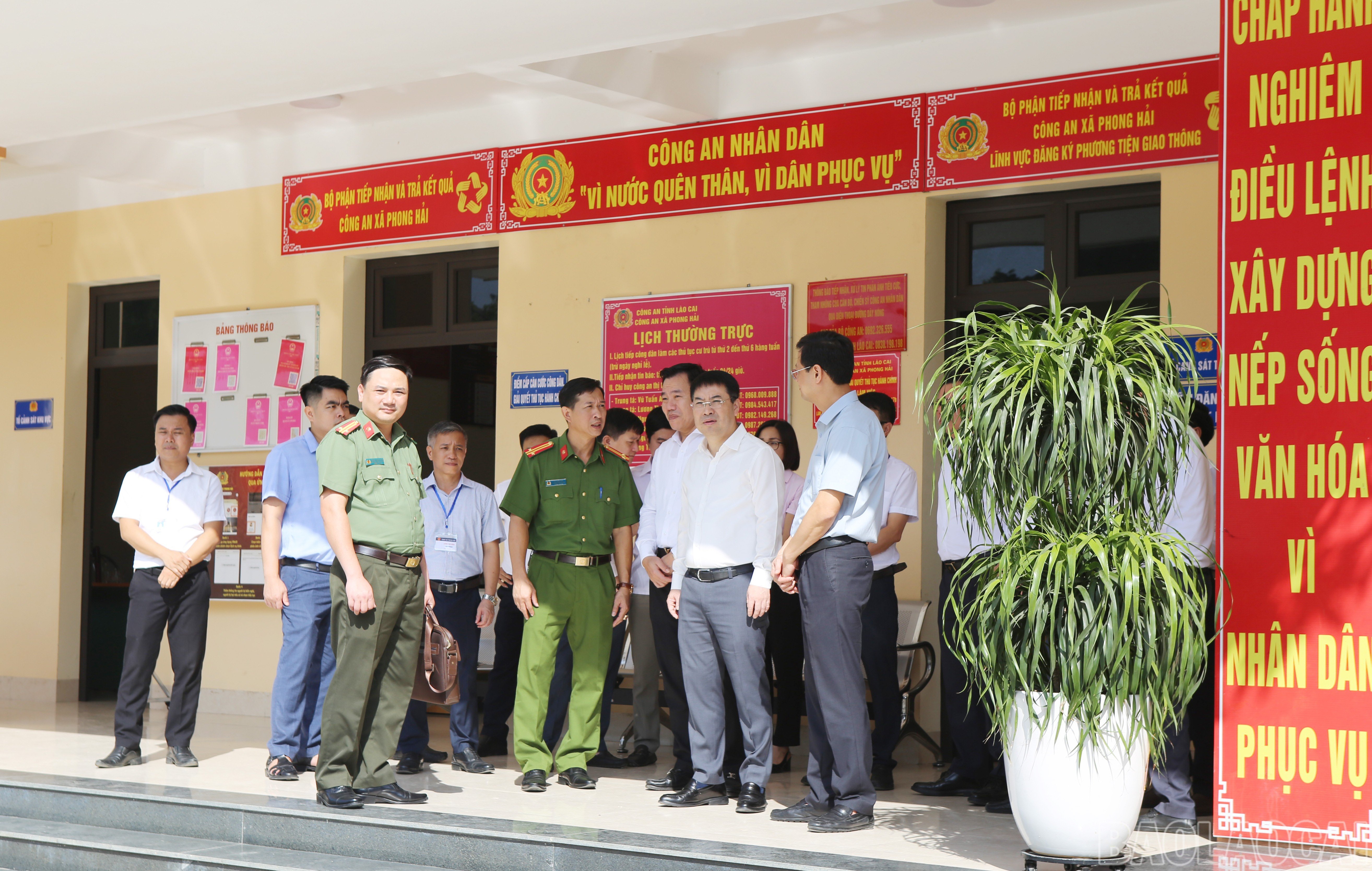 baolaocai-br_ph-4.jpg