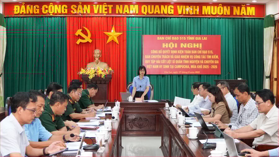 pho-chu-tich-ubnd-tinh-nguyen-thi-thanh-lich-chu-tri-hoi-nghi.jpg